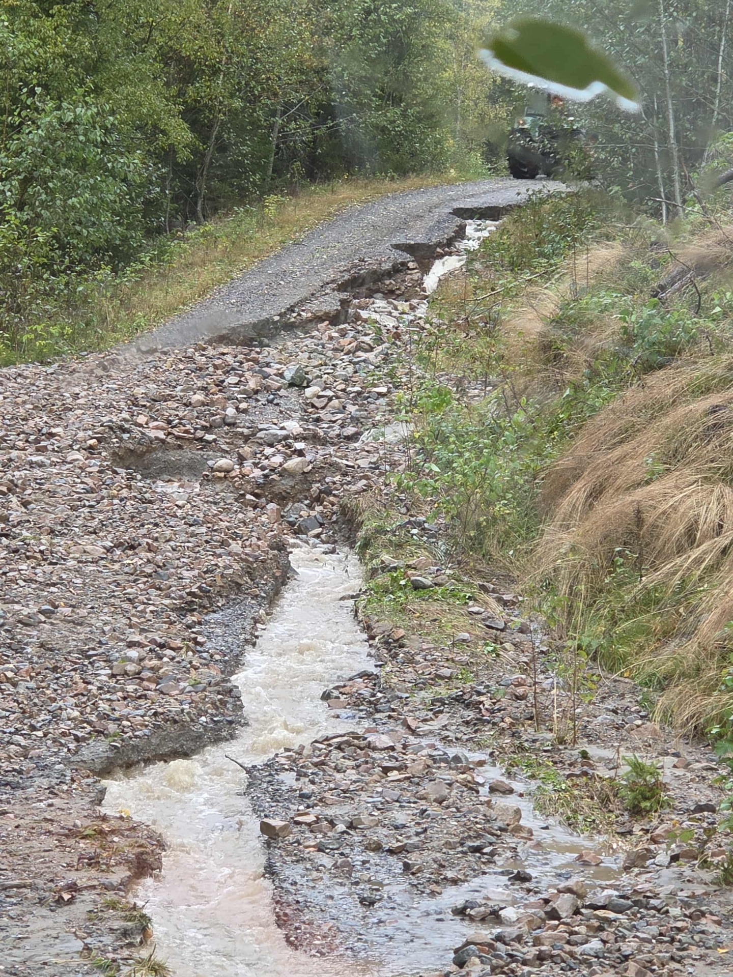 Naturskade - skogsbilvei